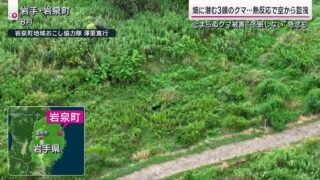 テレビで取り上げていただきました