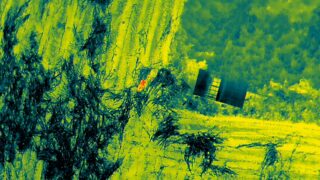 ツキノワグマ緊急安全管理