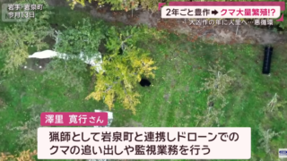 テレビで取り上げていただきました