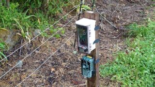 遠隔捕獲検知システム